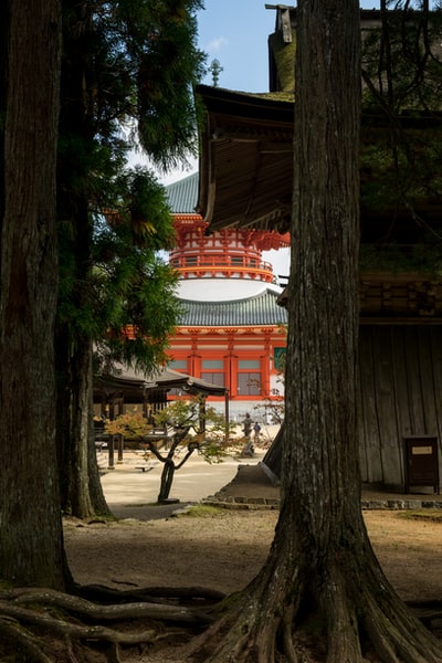 橙色和白色的寺庙
